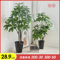 Fake flower simulation fortune tree decoration plant indoor fake potted living room flower large ground tree green plant plastic bonsai