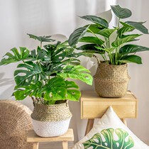 Nordic living room simulation green plant green plant decoration fake flower desk ins small potted ornaments creative home