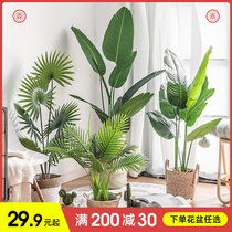  Simulation plant decoration Large Nordic fake green plant potted ornaments Traveler banana turtle bamboo scattered tail sunflower floor-to-ceiling bonsai