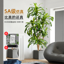 Simulation green plant high-end light luxury Brazilian wood interior decoration potted large living room decoration bionic fake plant iron tree