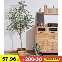 Simulation green plant potted Nordic ins wind eucalyptus tree large fake plant money leaf decoration interior decoration tree