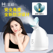 Golden rice steamer thermal spray instrument household water supplement Nano spray steam face Machine hot spray open pore steamer small