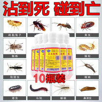 Insecticide powder Deworming Reptile centipede Extermination Tide insect 66 Malu medicine powder Household indoor hundred insect spirit insecticide