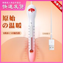 Diatomaceous Earth absorbent Rod usb famous aircraft Cup heating rod heating rod absorbent masturbator sex toys Tcr