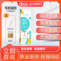 Pet ear mites special medicine ear mites cat dog otitis picture ear ear skin cleaning ear Ear itching head