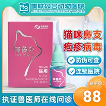 Bofelli eye drops cat nose drops cat mouth conjunctivitis sneezing herpes calicivirus eye drops