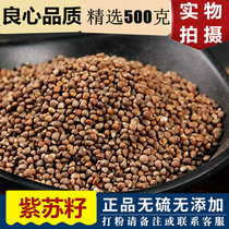 Chinese herbal medicine Perilla seed 500g perilla seed wild grinding perilla seed powder