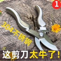 Imported branches special scissors pruning shears 304 stainless steel gardening flowers and plants grape fruit tree picking plant scissors