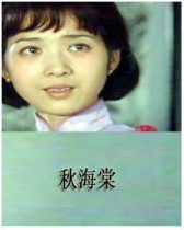 DVD machine version Autumn Haitang] Gong Xue Liu Weiming 12 episodes of 1 disc