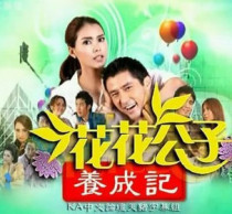 DVD machine version Thailand Playboy in the habit of writing a note] Thai-Chinese characters all 14 episodes 2 discs
