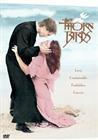 DVD Machine Edition Thorns Birds] sequel missed time] 4 dishes bilingual]