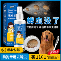 Dog ticks clear special medicine for ticks Pets to flea lice tick insecticide household dog spray