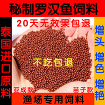 The best secret of arhat fish feed Flower arhat to increase the head and increase the head Special feed Fish food Fish food small and medium grains