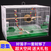 Parrot live bird bird cage Starling Xuanfeng tiger skin Quail Oversized king size household universal breeding cage Pigeon cage