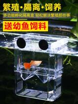 Fish tank isolation box guppies breeding box zebra small fish incubator phoenix tail juvenile suspension acrylic oviposition room