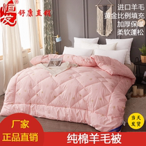 Hengfa home textile elegant cotton wool quilt quilt winter by students thickened warm single double spring and autumn quilt