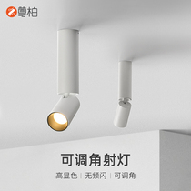 Zunbai led ceiling folding spotlight round living room without main lamp open-hole household spotlight spotlight anti-glare