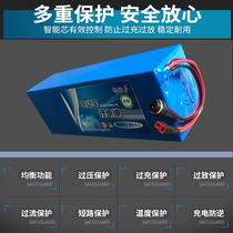 Electric lithium car battery 36V48V10AH12AH15AH generation skateboard electric bicycle lithium battery silver fish model
