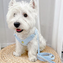 Kitty Dogs Traction Rope Leash Cat Rope Walking Cat Rope Walking Dog Chest Braces Puppy Braces Vest-Type Anti-Earn