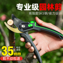 Cut Branches Scissors Fruit Tree Prunes Pruning Garden Landscaping Garden Pruning Twigs Scissors Floral Cutting Art Branches Cutting Tools