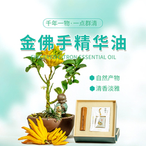 Golden bergamot essential oil with imported aromatherapy liquid rattan without fire fragrance pure natural Jinhua specialty gift
