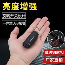 Mini flashlight compact portable outdoor home multifunctional LED student dormitory lighting rechargeable banknote detector lamp