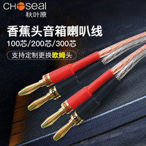 Akihabara banana head sound line horn line speaker line banana plug audio line plug dedicated line power amplifier ohm head connection line 4N pure copper surround main and auxiliary audio connection line 200 core