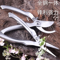 All-steel one-piece pruning shears imported stainless steel strong gardening scissors landscape scissors flowers manganese steel tree branches Shears