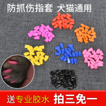 Toe protective scissors nail set pet trim color dress up anti-scratch cat scratch universal nail cat claw cat use