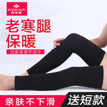 Kneecap Kneecap Warm And Old Chill Leg Knee Female Joint Warm Lengthening of Kneecap Jacket Protective Varnish Men Summer Thin