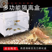 White black acrylic aquarium isolation box small fish fry breeding incubator isolation net gas lift turtle seedlings