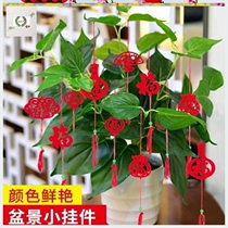 Housewarming interior New Year decoration Small tree decoration Spring Festival small pendant Red lantern Festive Small lantern Blessing word
