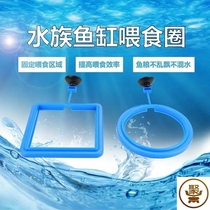 Fish tank feeder Fish feeding circle Small fish Guppy feeding circle Floating fish food feed feeding circle
