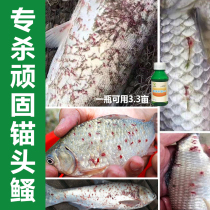 Fish drug aquaculture specializes in anchor head Killer Iron Anchor Worm nematodes haemorrhagic Red Dot Sick Fish Pond