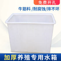 Thickened beef tendon plastic water tank Rectangular sink water tank Household large aquaculture tank fish tank water tank