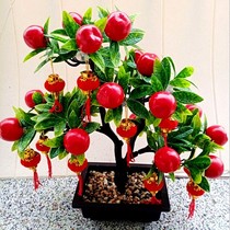 Rich fruit money tree simulation fruit fake Apple peach orange tree potted plastic fake flower living room sprinkler decoration