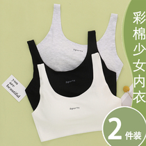 Girl underwear student development High School junior high school students small vest adolescent girls without steel ring cotton bra