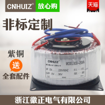 Pure copper amplifier toroidal transformer BOD-50 100W 250VA ring bull isolated power supply 220V to 110V24v