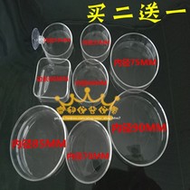 Crystal Shrimp Feeding Basin Ornamental Shrimp Feeder Shrimp Food Bowl Shrimp Basin Feed Basin Glass Shrimp Food Tray