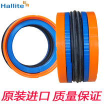 Original British HALLITE good Wright combination oil seal H780 5-piece piston seal