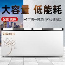 Freezer Electric Freezer Commercial Large Capacity Electric Refrigeration Frozen Ice Cream Double Temperature Horizontal Large Refrigerator Large Refrigerator