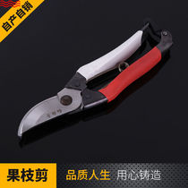 Fruit tree pruning shears knife home pruning branches and Orchard flower cutting tools garden gardening scissors