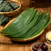 Zong leaves free mail fresh large household commercial wholesale package rice dumplings Dragon Boat Festival leaves new leaves Reed leaves