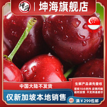 (YummyHunter-Cherries)American large red cherries 500g Singapore local delivery