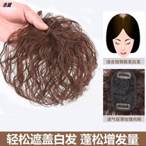 Middle-aged and elderly wigs head bangs corn hot short curly hair invisible breathable hair increase amount cover white hair replacement female