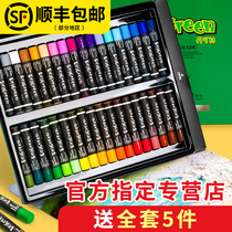 Dankelin heavy color oil painting stick 36 color 24 color professional grade painting set mini black white single crayon special paper pad tool 12 color flagship store professional oily soft oil painting stick