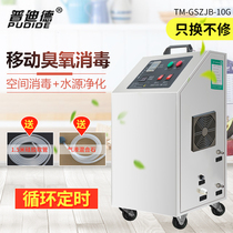 Putid food factory workshop Breeding farm culture room Ozone generator Sewage treatment bleaching sterilization machine