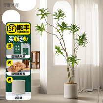 Roman mother simulation lily bamboo light luxury high-end green plant indoor living room fake tree floor decoration plant potted