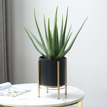 Roman mother simulation plant Aloe Vera potted Nordic fake bonsai indoor living room ins fake green plant decoration