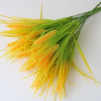 Fake rice emulation wheat ears rice ears plastic dry flower water grass small to shoot props mall furnishing floral art